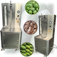 Industriële automatische pompoen-ananas-fruit-schilmachine voor groenten