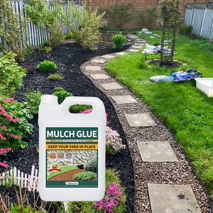 Dessini trong suốt vườn mulch keo được sử dụng để sửa chữa đá đổ trên nhựa sỏi chất kết dính thấm easii dính - Product Image 1