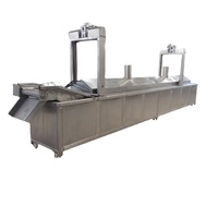 Automatische productielijn voor aardappelchips/friet/gedroogde bananen met friteuse, voedselsterilisator en mixer, capaciteit 200 kg