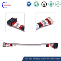 Adaptateur de faisceau de câbles de signalisation de batterie en cuivre étamé personnalisable avec étiquetage clair pour pack de batteries de véhicules électriques et stockage d'énergie