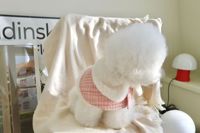 INS Style coréen nouvel an rose animal Cape chien bavoir été brise accessoire pour Bichon poméranien chat petit parfum en Polyester