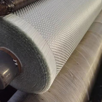 Haute résistance 400g 600g 800g/m2 E verre A Grade Tissu en fibre de verre e fibre de verre tissé itinérant pour l'Europe