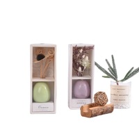 Diffuseur d'aromathérapie sans flamme avec bâtonnets volatils durables, libération de parfum constante, idéal pour une utilisation en hôtel
