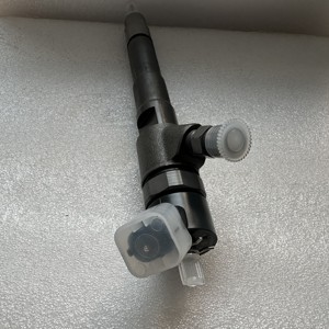 Iniettore Common Rail Diesel di Alta Qualità 0445110248 per Iveco Daily 3.0D, Fiat Ducato 3.0 MultiJet, <span class=keywords><strong>Peugeot</strong></span> <span class=keywords><strong>Boxer</strong></span> 3.0HDi - Product Image 1