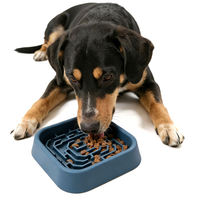 Bol de nourrissage lent pour animaux de compagnie en silicone carré écologique sans BPA avec ventouse