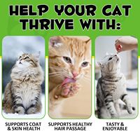 Friandises à mâcher pour la santé des voies urinaires des chats - Favorise une digestion saine, une fonction vésicale normale, soutient le système immunitaire, antioxydants à base de canneberge