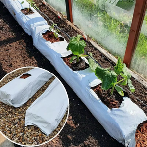 Sacs de plantation de fraises en plastique PE résistants aux UV et aux déchirures, utilisés <span class=keywords><strong>dans</strong></span> les jardins de serres - Product Image 3