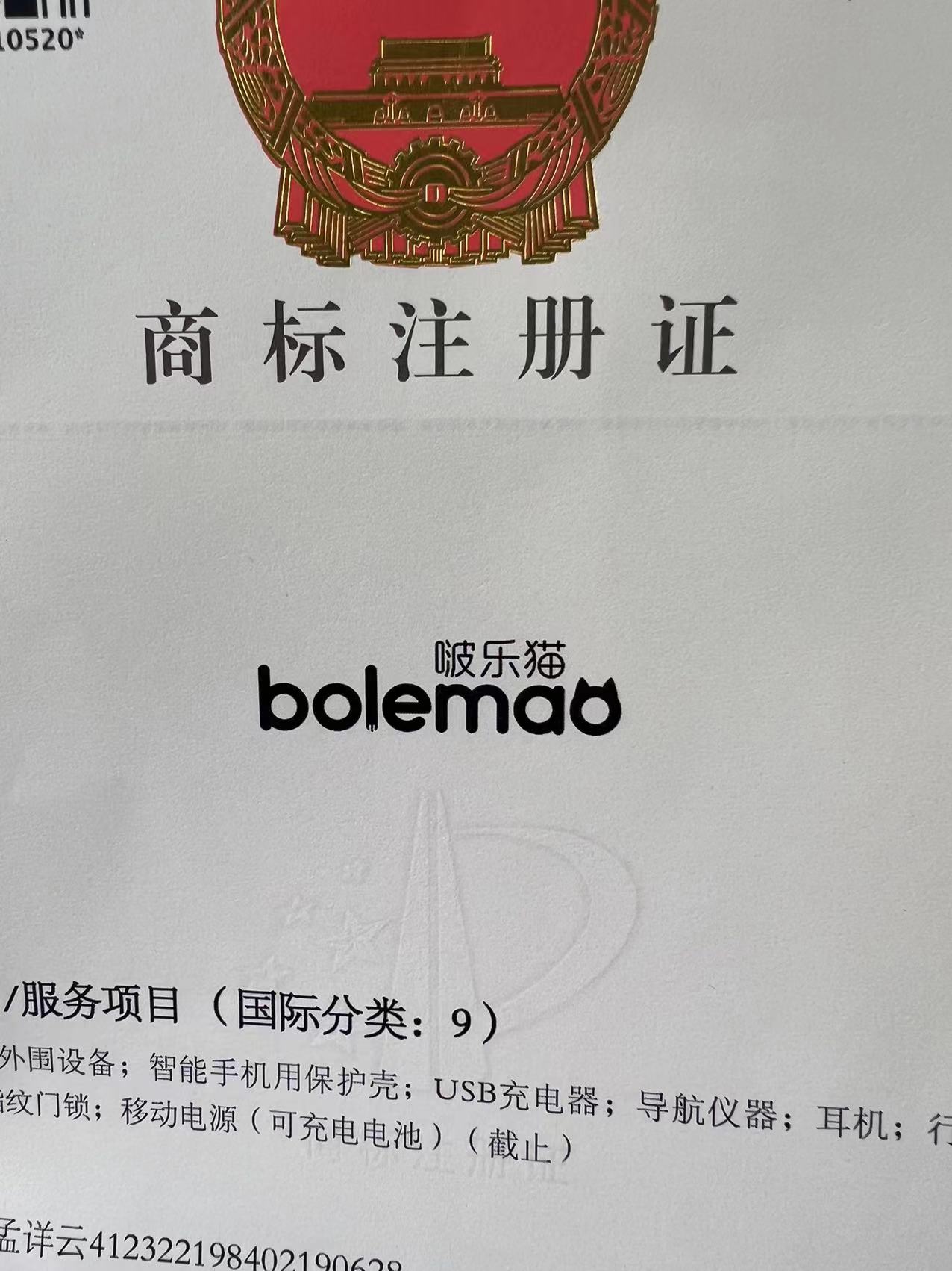 Guangzhou Bolemao Digital Technology Co., Ltd. logo