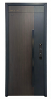 Portes pivotantes d'entrée principale en acier de sécurité modernes et de haute qualité, personnalisées pour les maisons résidentielles extérieures
