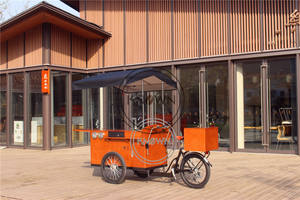 Voiture de vente mobile de vélo de cargaison de rue 2025 avec le tricycle électrique de café d'évier à vendre l'Europe - Product Image 4