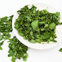 ISO Factory QYherb Tablet Moringa pendukung 0.5g/tablet 200tablet/botol grosir jumlah besar