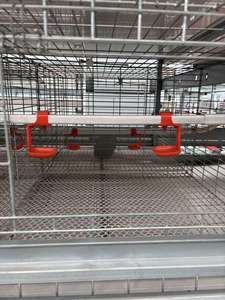 Poulailler pour poules pondeuses Conception de ferme avicole <span class=keywords><strong>Cage</strong></span> verticale automatique pour poules pondeuses de type H - Product Image 2