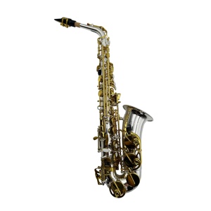 Saxofón Alto de Latón de Alta Calidad JYAS102DSG EB en Tono Plateado con Llaves Doradas, Instrumento de <span class=keywords><strong>Viento</strong></span> Plegable Ajustable, Incluye Accesorios - Product Image 1