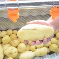 Automatische Aardappelui Gemberwortel Schillen En Wasmachines Voor De Reinigingsmachine Voor De Productie Van Fruit En Groenten