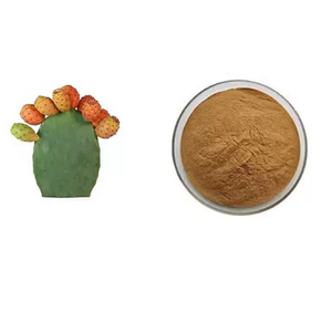 Fabricants Fournissent de la Poudre d'Extrait Végétal Naturel de Qualité Alimentaire Pure Extrait de <span class=keywords><strong>Cactus</strong></span> Opuntia Ficus-indica Complément Alimentaire - Product Image 3
