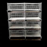 Nouvelle cage à poulets en batterie en treillis métallique pour élevage avicole automatique en ferme avicole