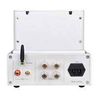 BRZHIFI ses güç amplifikatörü FU29 FM30 Push-Pull devre BT 5.0 tüp amplifikatör Audiophile ev sineması Stereo mükemmel ses Amp