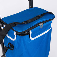 Sac de courses pour grand-mère de 47 l, chariot de courses pliable pour légumes, chariot de courses en gros