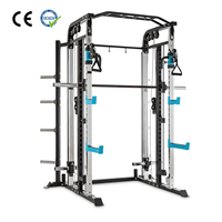 VIGFIT Jaula de potencia comercial para gimnasio en casa, rack de sentadillas, equipo de fitness multifunción, máquinas Smith, ejercicios para hombros