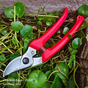 Sécateur de jardin Taiwan Jiuyilang 130 avec lame en acier et poignée antidérapante pour l'élagage des arbres et des fruits - Product Image 3