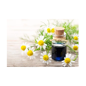 Chamomile Blue Essential <b>Oil</b> For Sensitive Skin Soothing Anti Inflammatory Relief Relaxation Aromatherapy And Natural Healing - Product Image 3