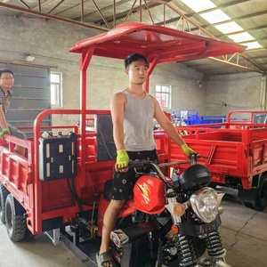 Double Axle 9 Wheel Motorized Cargo Tricycle/250CC Double Rear Axle Nine Wheel Motorcycle Dumper Cargo Tricycle - Product Image 4