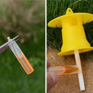 Pequeño 2ml Orchard Fruit Fly Atrayente Melon Fly y Needle Bee Atrayente para equipos de cría de animales - Product Image 4