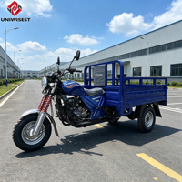 Tricycle Moto 200cc Économique à 3 Roues pour Adultes, Châssis en Acier à Ressort, Plateau Moteur, Prix Bas, OEM ODM
