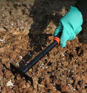 ถุงมือรักษาความปลอดภัยสำหรับงานสวนป้องกันการตัดแต่งกิ่งต้นกระบองเพชรดอกกุหลาบ - Product Image 5