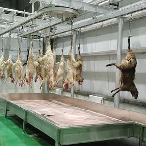 Machinerie d'abattage de moutons entièrement automatisée et motorisée pour <span class=keywords><strong>abattoir</strong></span> de moutons et usine de découpe de viande - Product Image 1