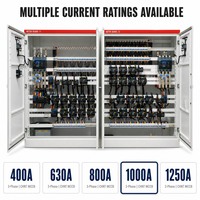 Armoire de distribution d'énergie basse tension 1000A avec compensation de puissance réactive double pour usine et hôtel