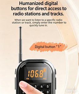 रिचार्जेबल पोर्टेबल डिजिटल डिस्प्ले जेब 1100mah/<span class=keywords><strong>fm</strong></span> wkman रेडियो <span class=keywords><strong>Fm</strong></span> 76-108mhz Tf कार्ड प्लेयर स्पीकर प्लास्टिक 0-5w - Product Image 5
