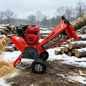 Petite déchiqueteuse de bois à essence, broyeur de branches d'arbre, <span class=keywords><strong>machine</strong></span> à déchiqueter les déchets de jardin pour usage agricole - Product Image 2