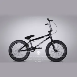 18 인치 BMX 자전거