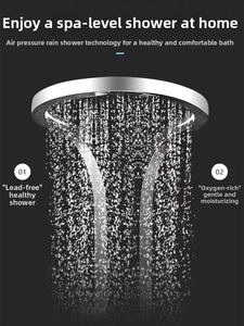 <strong>Shower</strong> Head - Product Image 2
