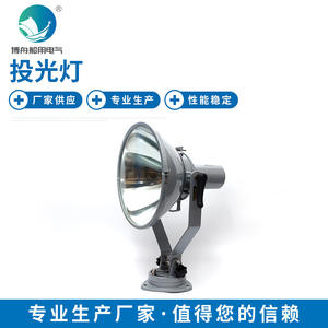 TG7 500W Self-Ballasted Mercury <b>Bulb</b> Marine and Dock Work <b>Light</b> <b>Outdoor</b> Floodlight - Product Image 5