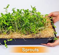 Vente en gros plateau hydroponique Microgreens robuste plateau de germination de graines en plastique durable pour la culture de pépinière Microgreen