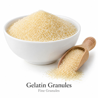 Granulés de gélatine comestible à Bloom moyen, agent de rétention d'eau et d'épaississement pour la fabrication alimentaire