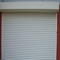 Porte à enroulement en aluminium sur mesure, portes de garage en aluminium pour maisons, volets roulants automatiques, portes à enroulement de sécurité, portes extérieures