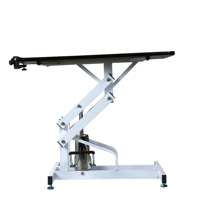 Table de toilettage pour chiens, rehausseur hydraulique, OEM, outil de toilettage pour chiens avec rouleau, animalerie professionnelle, prix d'usine