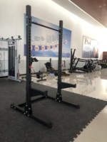 Gmfitness Gm-q1014 Half Rack, équipement de gym robuste pour entraînement de puissance et squats, avec barre de traction pour centre de fitness