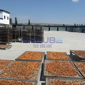 Séchoir à pompe à chaleur pour abricots certifié qualité, chambre de séchage pour abricots, équipement de déshydratation pour abricots - Product Image 1