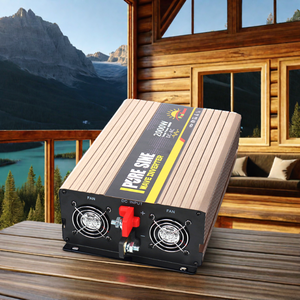 Convertidor de Energía Fuera de la Red 12V 24V 48V a CA 110V 220V 230V 300W 500W 1000W 2000W 3000W 5000W Onda Pura REP-300-6000 de Alta Potencia - Product Image 1