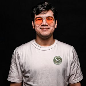 Écusson brodé en feutre Silly Goose certifié DigitEMB, 3 pouces, thermocollant, pour vestes, sacs à dos, chapeaux, jeans, vêtements DIY - Product Image 3