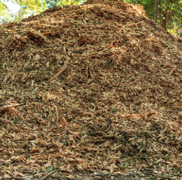 Virutas de Madera de Pino Cruda para Paisajismo - Product Image 4