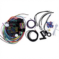 Harnais de câblage personnalisé en cuivre avec gaine PVC pour applications électroniques automobiles - Harnais de câblage universel pour hot rods