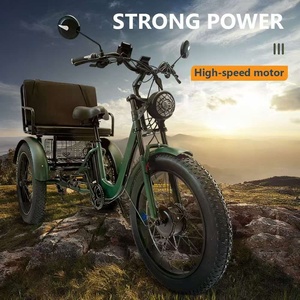 Elektrisches Dreirad für Berggebiete, Schwerlast-Transporttrike mit Offener Ladefläche, 801-1000W, 50-70Km/h - Product Image 6