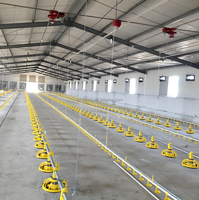 Bâtiments de style ferme, poulailler, structure en acier préfabriquée, entrepôt pour élevage de volailles, poulailler pour élevage de poulets