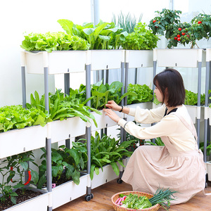 Pots de <span class=keywords><strong>fleurs</strong></span> <span class=keywords><strong>en</strong></span> plastique pour la maison et le jardin, pots auto-arrosants pour plantes d'intérieur, utilisation au sol ou suspendus, PP antimicrobien - Product Image 3