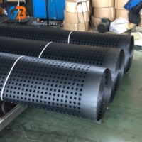 Planche de drainage en HDPE à hauteur personnalisable, résistante à la corrosion, pour usage extérieur (jardin, parc, école), fabriquée de manière écologique